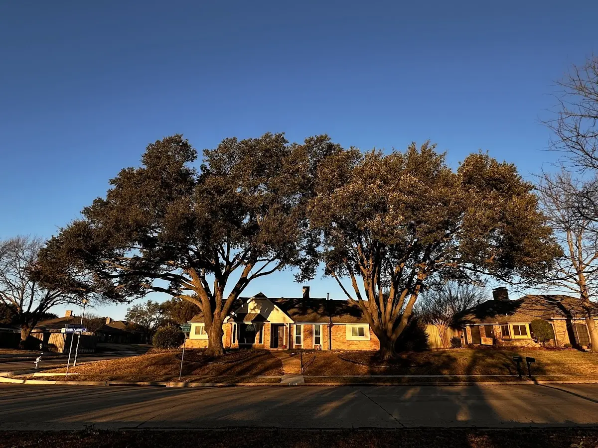 Established residential canopy tree shading a home in Wallula